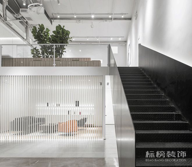 辦公室植物擺放植物有哪些，怎么擺放比較好？